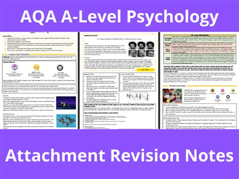 Aqa A Level Psychology Attachment Revision Notes Teaching Resources