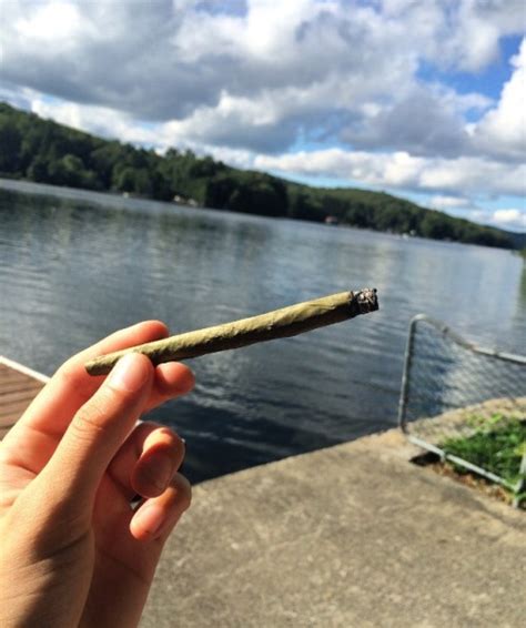 Smoke Blunts On Tumblr