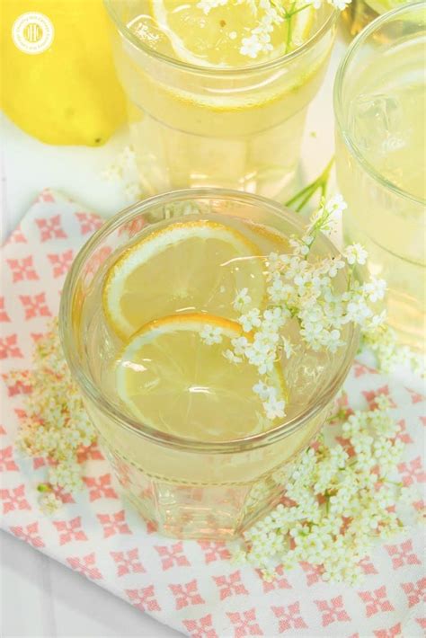 If Youre Looking For A Summer Drink Idea Make Refreshing Elderflower