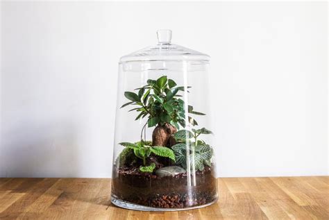 Comment faire un terrarium ferme Housekeeping Magazine Idées