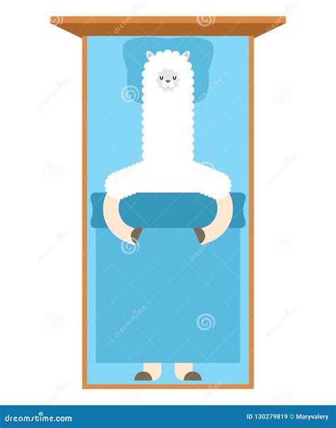Llama Sleeping in Bed. Lama Cute Animal Alpaca Stock Vector ...