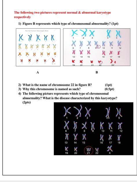 Solved The following two pictures represent normal & | Chegg.com