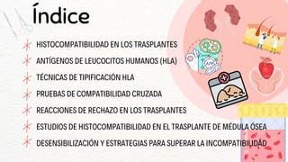 Histocompatibilidad Universidad Jcgl Pdf Descarga Gratuita