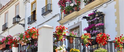 Córdoba 24 Fiestas y tradiciones en Luque