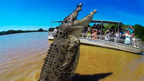 BIGGEST Crocodiles In The World! - YouTube