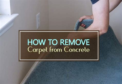 How To Remove Carpet From Concrete Step By Step Guide Household Advice