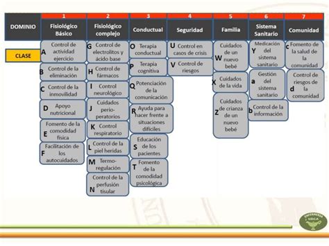 Nic Clasificación De Las Intervenciones En Enfermería