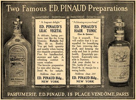 Ed Pinaud