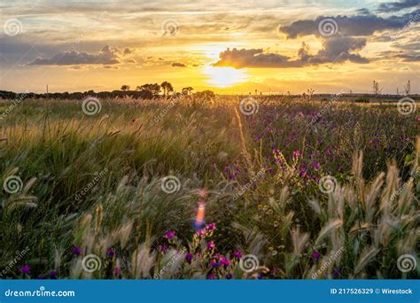 Impresionante Vista De Una Vasta Pradera Durante La Puesta De Sol