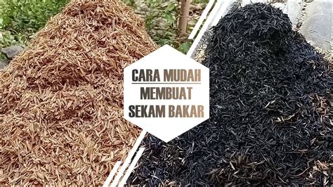 Cara Mudah Membuat Sekam Bakar Untuk Media Tanam YouTube