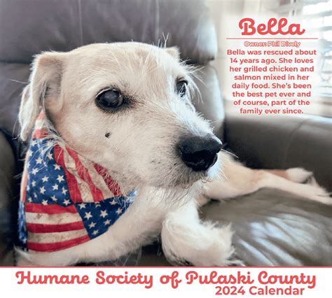 2024 Wall Calendar - Humane Society of Pulaski County