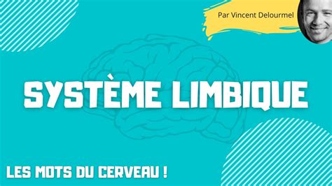 Le Systeme Limbique Youtube