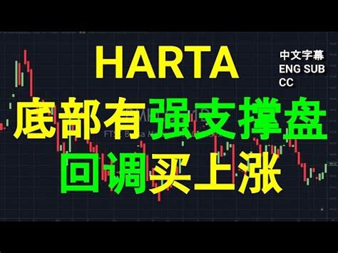 HARTA HARTALEGA 底部有强支撑盘回调买上涨 CC 中英文字幕 ENG SUB 早盘筹码峰技术分析 08082023