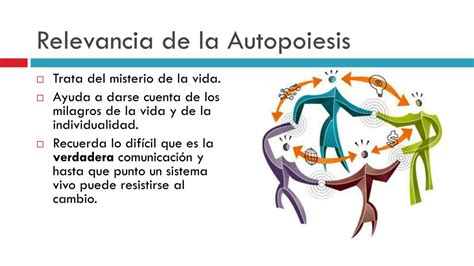 Homeostasis Y Autopoiesis Mind Map