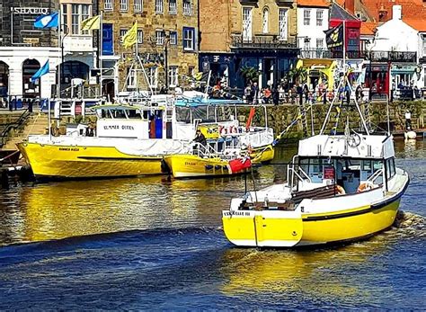 Whitby Fishing Trips