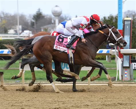 Check Out The Kentucky Derby This May At Colony Square