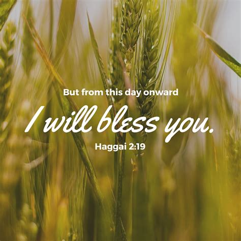 Haggai 2 19 Creative Scripture Art Free Church Resources From