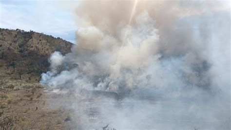 Combaten Primer Incendio En Bosque La Primavera En Jalisco Grupo Milenio