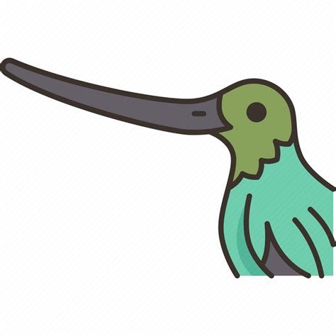 Bird Hummingbird Beak Long Wildlife Icon Download On Iconfinder