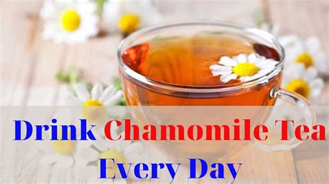 Drink Chamomile Tea Every Day What Will Happen To Your Body Food For