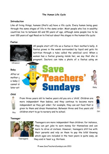 Human Life Cycle Ks1 Lesson Plan Explanation Text And Worksheet