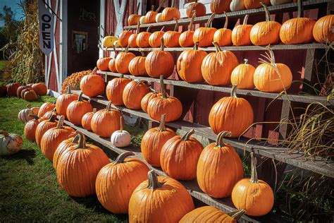 The Pumpkin Stand Photograph By Sean Baker Fine Art America