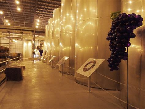 Niagara Winery Tour - Toronto | Project Expedition