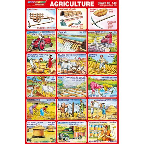 Rectangular Agriculture Charts at Best Price in Mumbai, Maharashtra ...