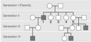 Solved 1 The Diagram Shows A Pedigree Of A Sex Linked Chegg