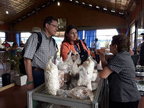 Embrapa Apresenta Tecnologias Sustentáveis No Show Rural Coopavel 2018