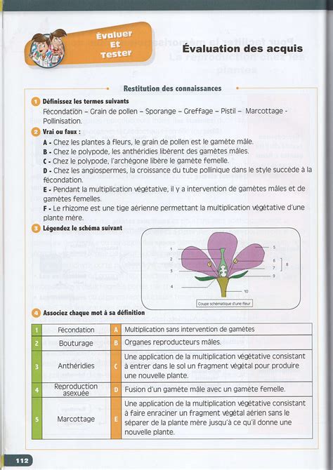 La Reproduction Chez Les Plantes Exercices Manuel AlloSchool