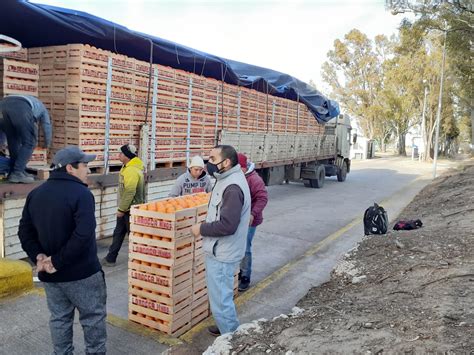 Control Fitosanitario Se Fijaron Nuevas Reglas Para El Ingreso De