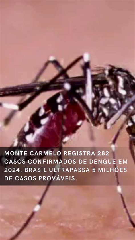 Monte Carmelo Registra 282 Casos Confirmados De Dengue Em 2024 Brasil