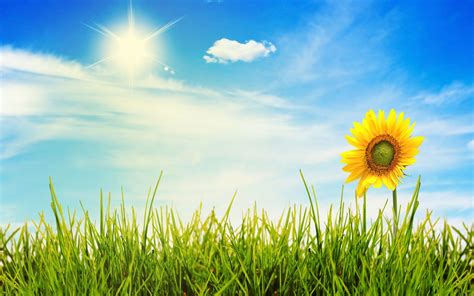 Sunny Weather Wallpapers - 4k, HD Sunny Weather Backgrounds on WallpaperBat