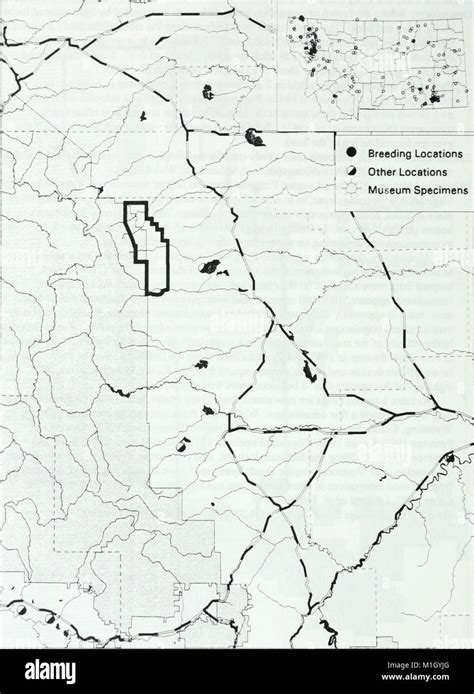 Amphibian Reptile And Northern Bog Lemming Survey On The Rocky