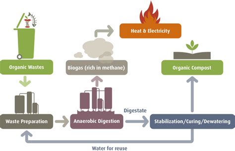 L Evoluzione Delle Biomasse Come Fonte Di Energia Alternativa