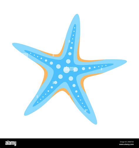 Blue And Orange Starfish Isolated On White Background Flat Vector