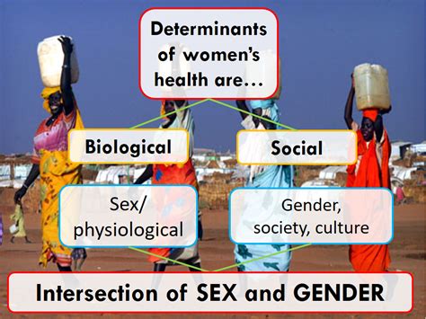 Section 3 15 Gender As A Determinant Of Health Women’s Health Pubh 110