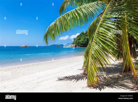 Paradise beach background Stock Photo - Alamy