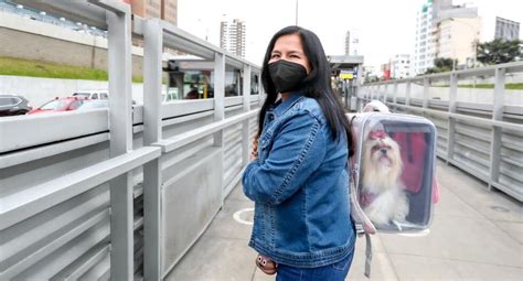 ATU pasajeros sí pueden trasladar mascotas en buses del Metropolitano