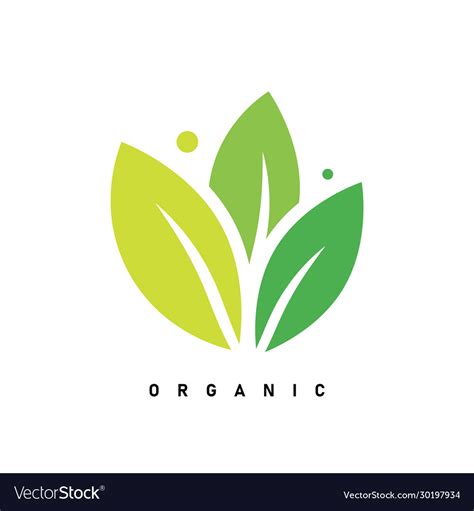 Leaf Creative Concept Logo Design Template Vector Image