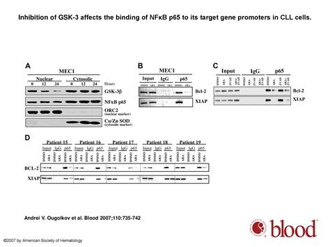 Inhibition Of Glycogen Synthase Kinase 3 Activity Leads To Epigenetic