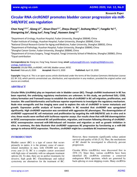 PDF Circular RNA CircRGNEF Promotes Bladder Cancer Progression Via