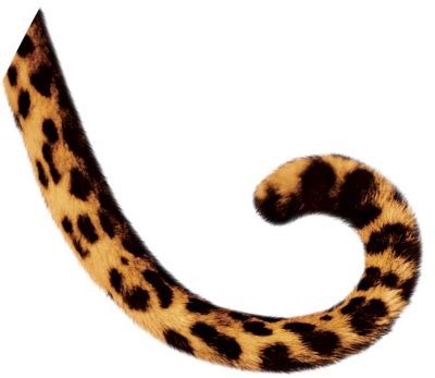 Animal Tail PNG Transparent Animal Tail.PNG Images. | PlusPNG