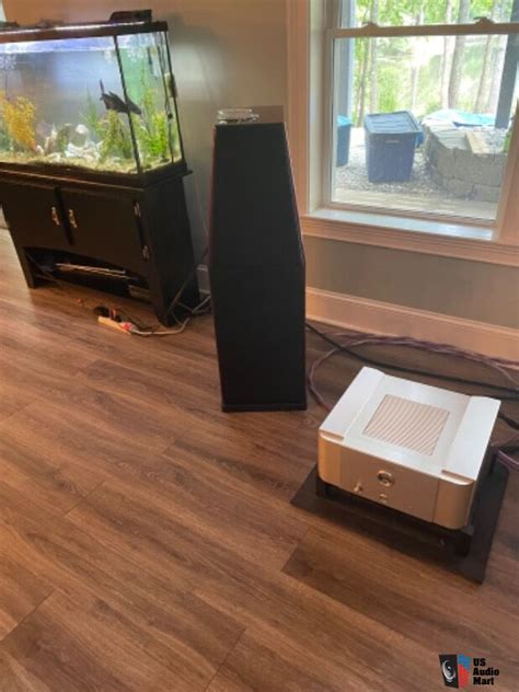 Partnership With Dayton Audio Active Woofer Speakers Alexander