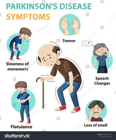 Parkinson Disease Symptoms Infographic Illustration Stock Vector ...