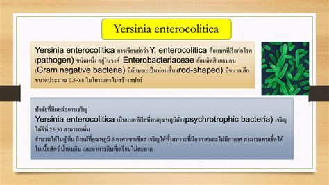 Gram Negative Bacilli Oxidase Ppt