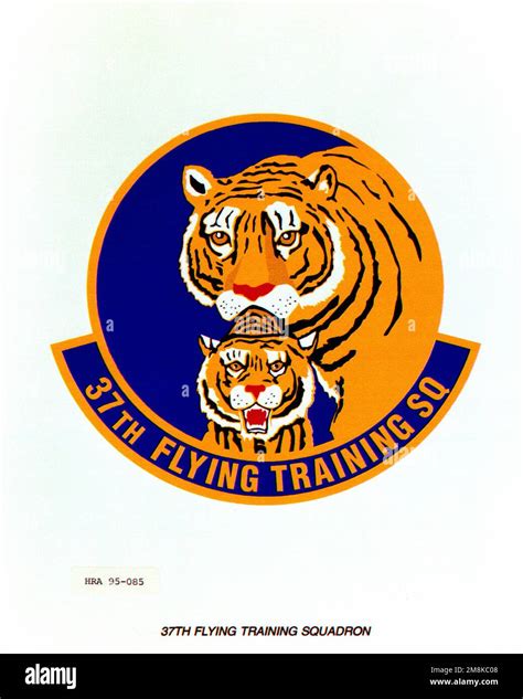 Approved Insignia For The 37th Flying Training Squadron Exact Date