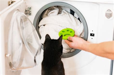 How To Dissolve Pet Hair In The Washing Machine