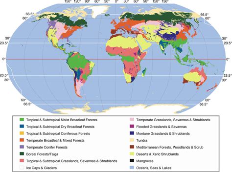 What Two Biomes Are Closest To The United States